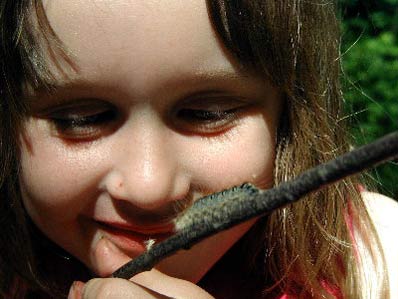 Jill with caterpillar