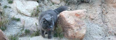 grayson at red rocks canyon