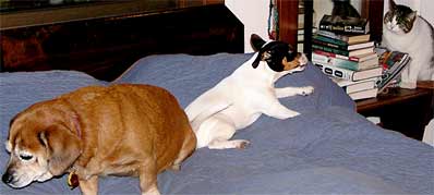 Ginger, Dottie and Penny Sue