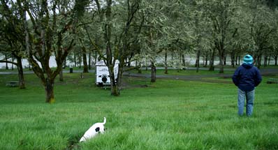 camping at Whistler Park, Roseburg, Oregon